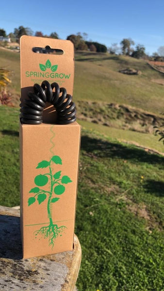 Springgrow -Innovative Plant Support System